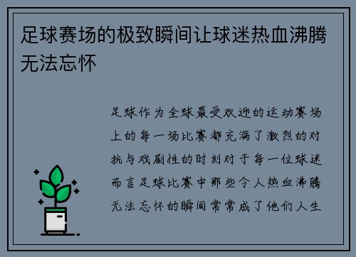 足球赛场的极致瞬间让球迷热血沸腾无法忘怀