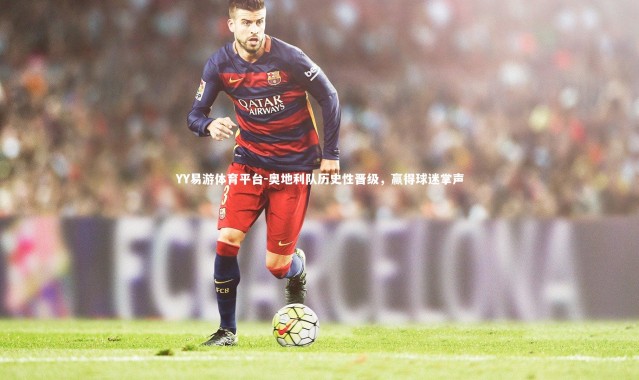 YY易游体育平台-奥地利队历史性晋级，赢得球迷掌声