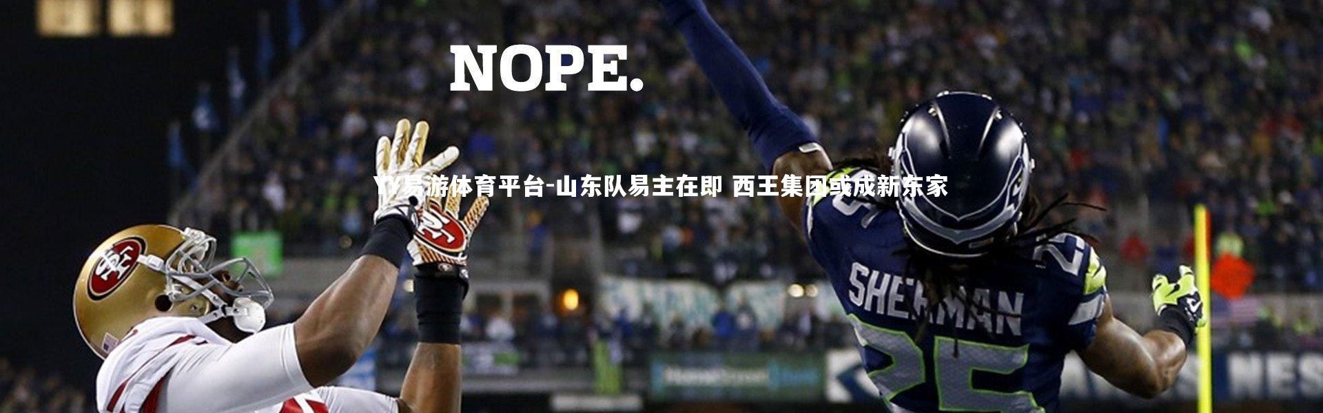 YY易游体育平台-山东队易主在即 西王集团或成新东家