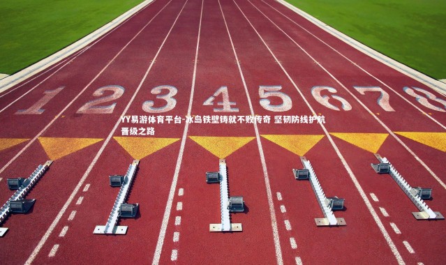 YY易游体育平台-冰岛铁壁铸就不败传奇 坚韧防线护航晋级之路