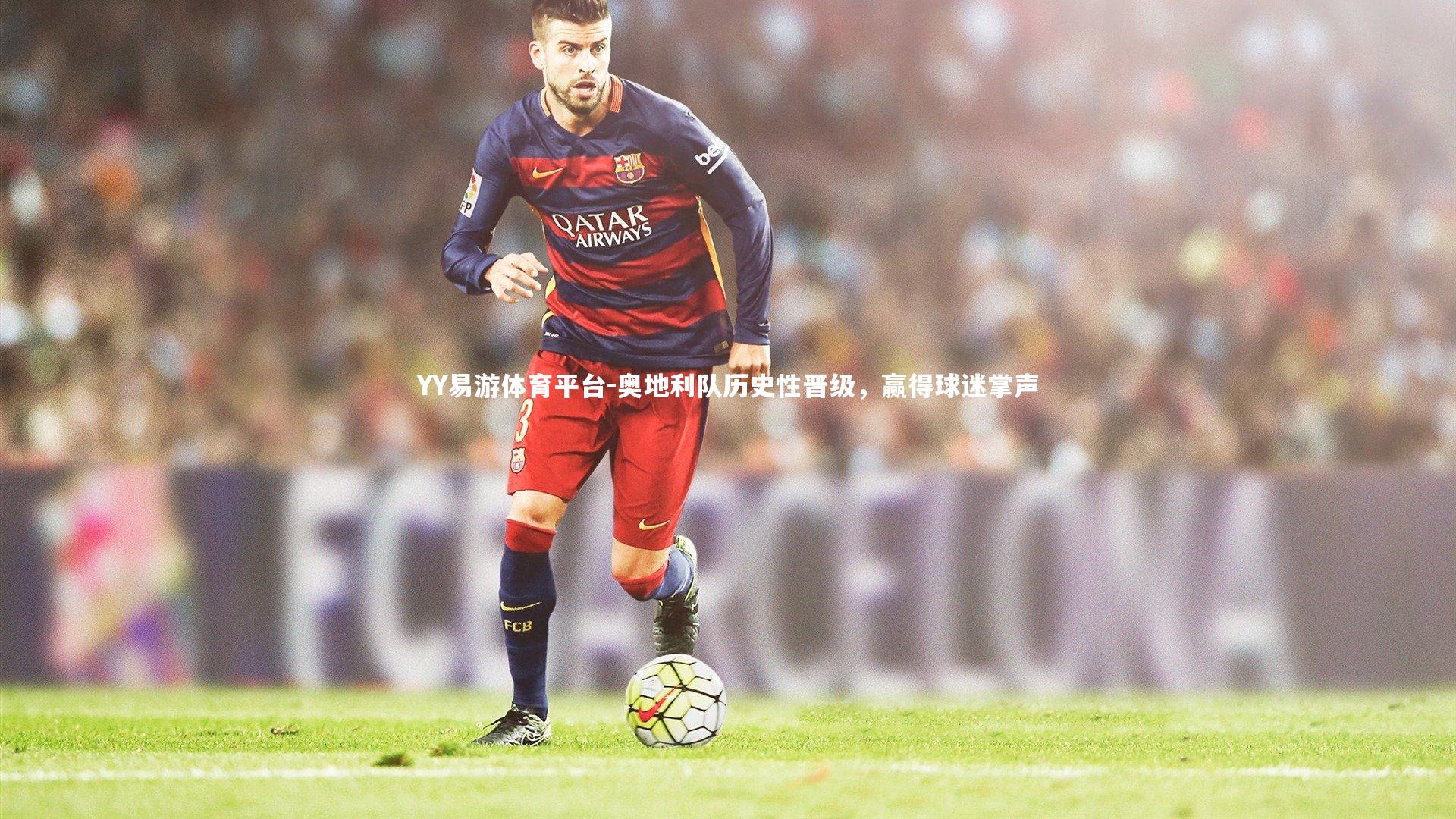 奥地利队历史性晋级，赢得球迷掌声