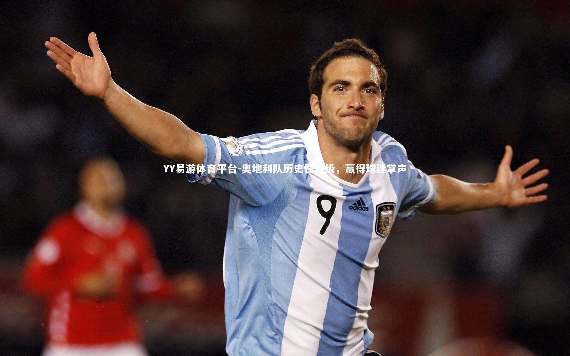 奥地利队历史性晋级，赢得球迷掌声